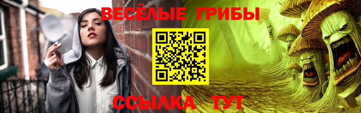 Псилоцибиновые грибы Psilocybe  Галлюциногенные грибы Psilocybe  Вход с VPN  Соль-Илецк 