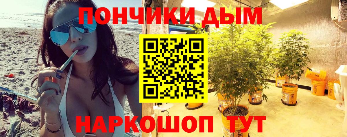 Бошки Шишки планчик Соль-Илецк
